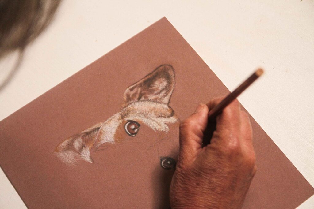 ritratti di cani bulldog a pastelli