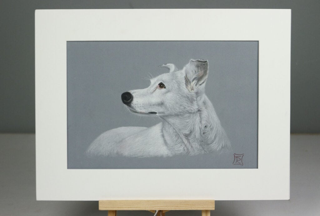ritratto di cane incorniciato